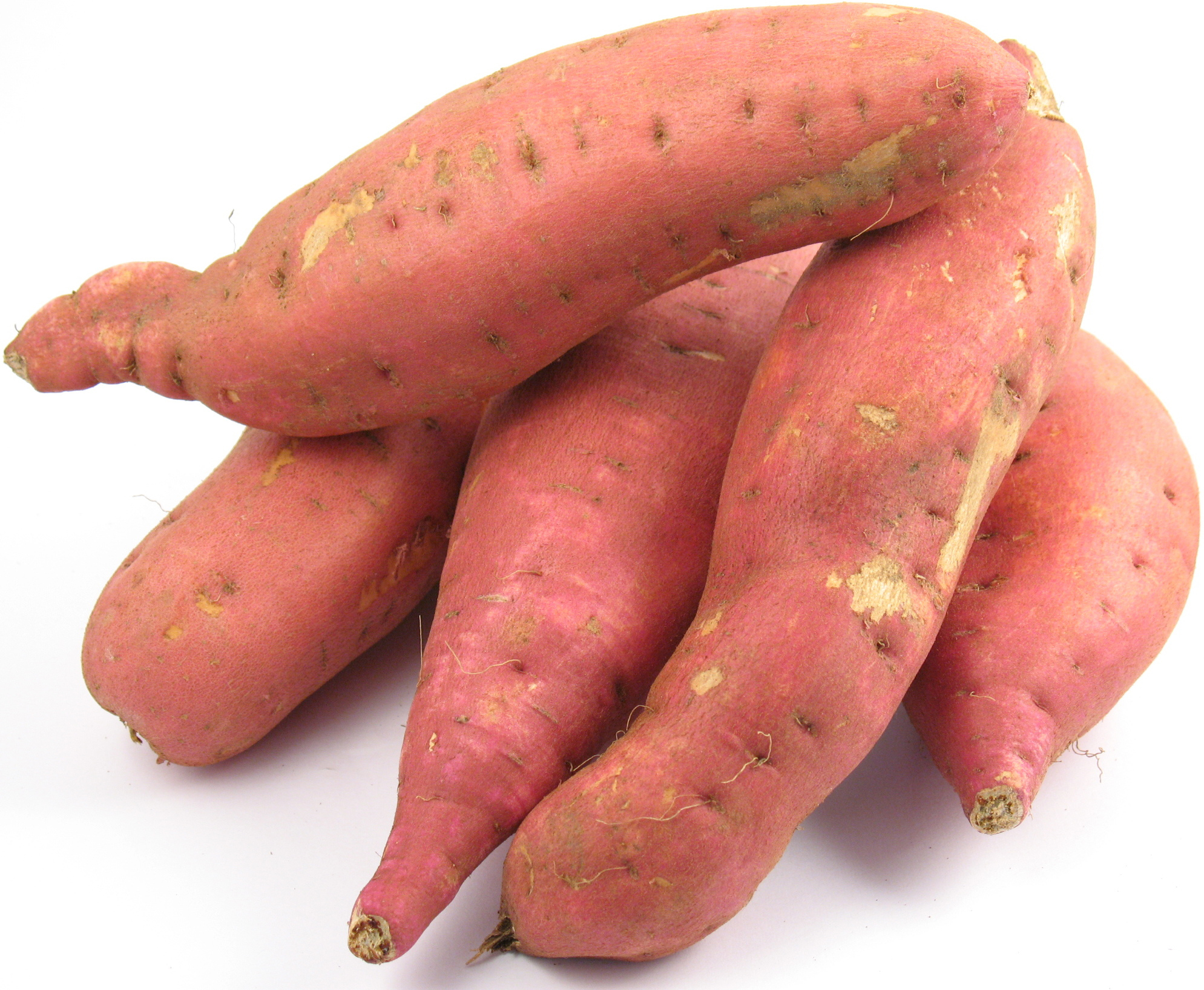 garnet sweet potato