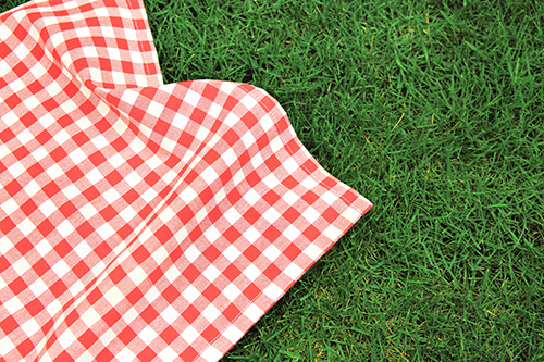 blanket on grass picnic 1318902944