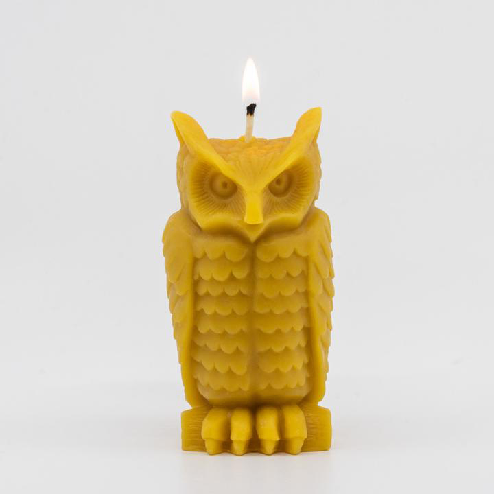 sunbeam wise owl