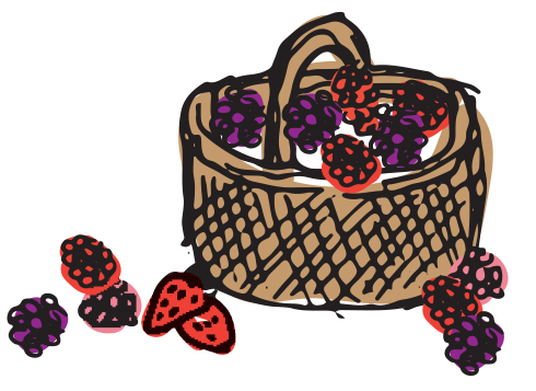 berries graphic
