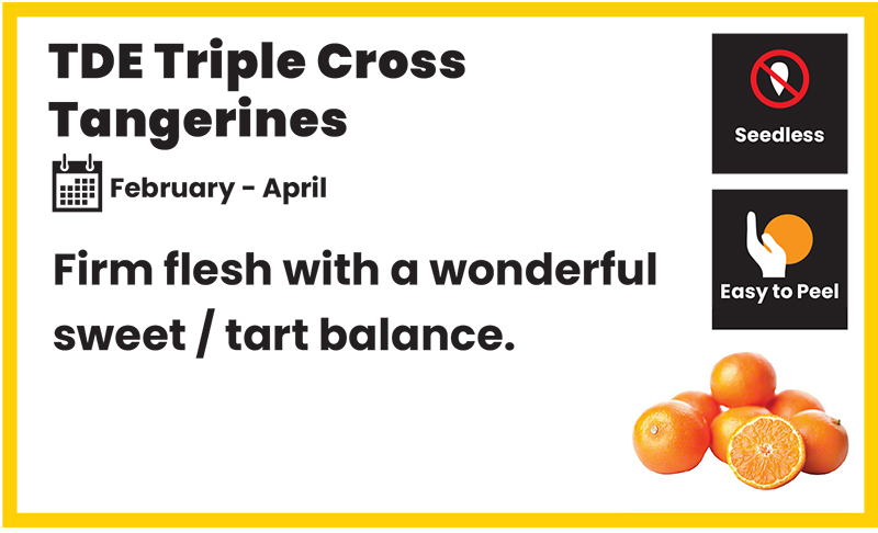 citrus card TDE triple cross tangerines