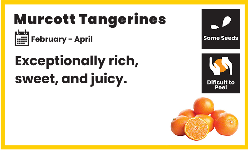 citrus card murcott tangerines