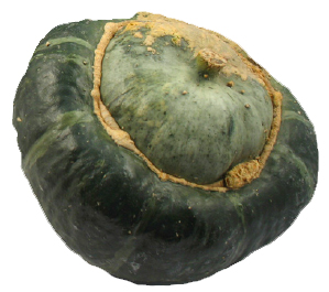 Buttercup Squash | Willy Street Co-op's Winter Squash 101