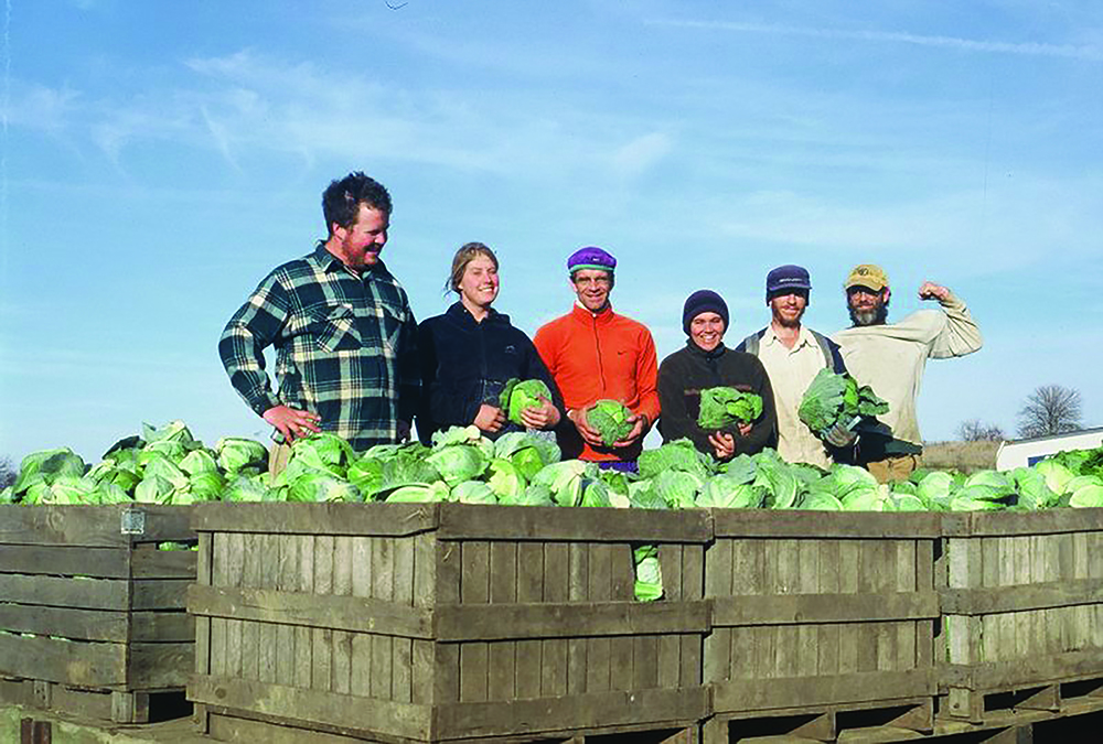 A group of farmers stand behind wooden containers full of cabbages.