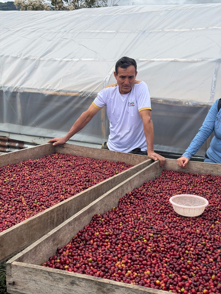 Gerardo-with-bins-of-coffee-beans