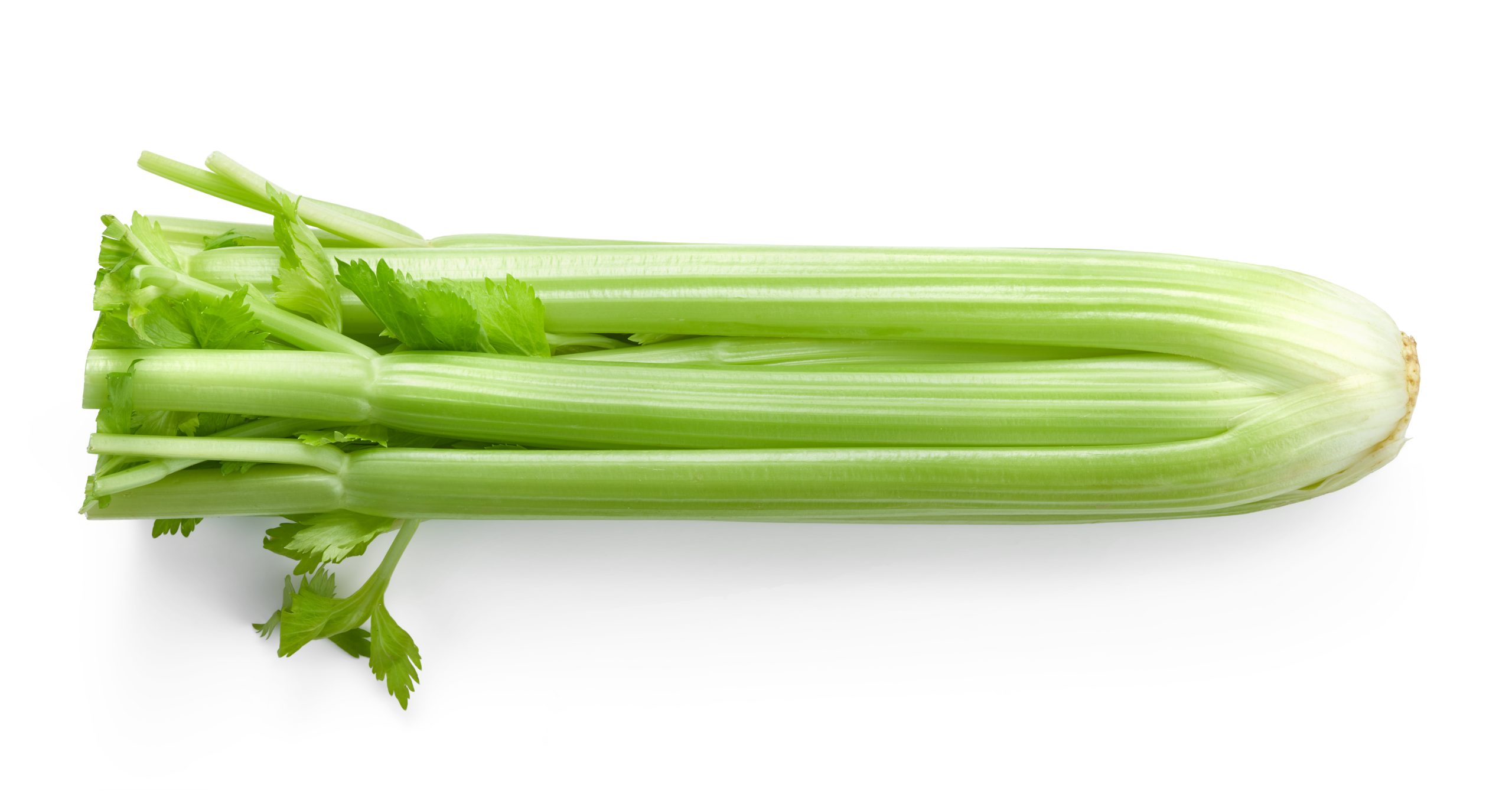 Organic celery