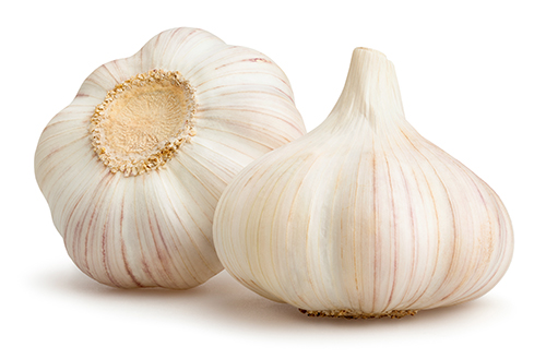 Organic garlic