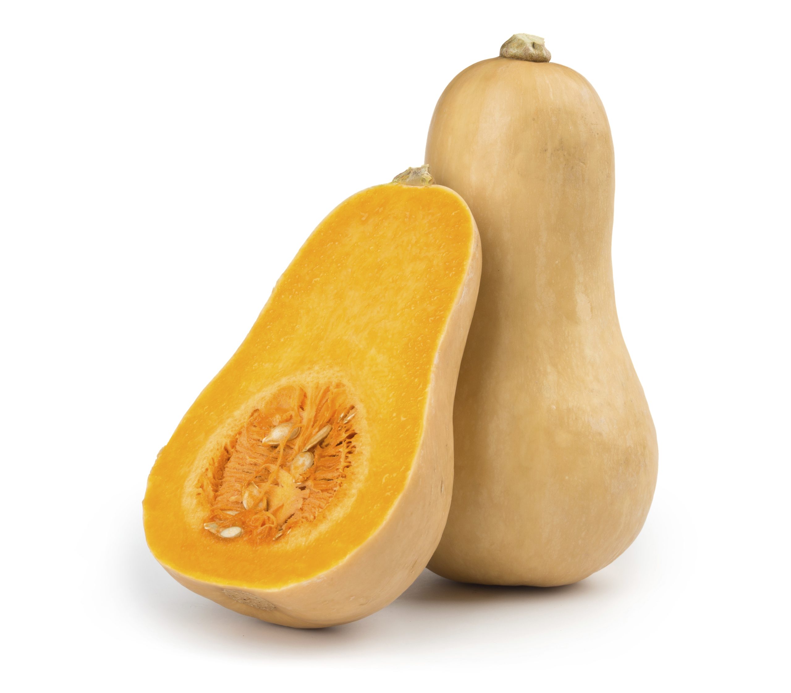 Assorted local organic winter squash